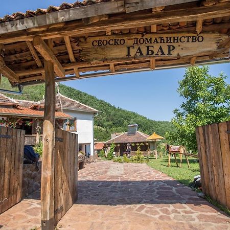 Villa Seosko Domacinstvo „Gabar” Custica Exterior foto