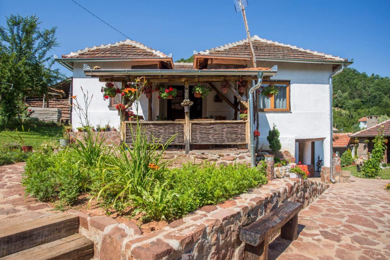 Villa Seosko Domacinstvo „Gabar” Custica Exterior foto